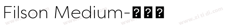 Filson Medium字体转换